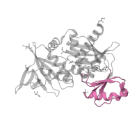 The deposited structure of PDB entry 1e4e contains 1 copy of CATH domain 3.30.1490.20 (Dna Ligase; domain 1) in Vancomycin/teicoplanin A-type resistance protein VanA. Showing 1 copy in chain B.