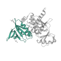 The deposited structure of PDB entry 1e4e contains 1 copy of Pfam domain PF01820 (D-ala D-ala ligase N-terminus) in Vancomycin/teicoplanin A-type resistance protein VanA. Showing 1 copy in chain B.