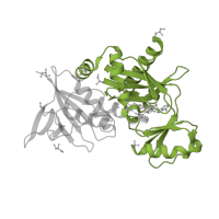 The deposited structure of PDB entry 1e4e contains 1 copy of Pfam domain PF07478 (D-ala D-ala ligase C-terminus) in Vancomycin/teicoplanin A-type resistance protein VanA. Showing 1 copy in chain B.