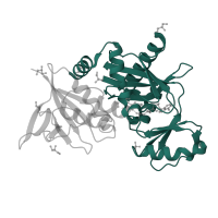 The deposited structure of PDB entry 1e4e contains 1 copy of SCOP domain 56060 (ATP-binding domain of peptide synthetases) in Vancomycin/teicoplanin A-type resistance protein VanA. Showing 1 copy in chain B.