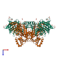 Hetero tetrameric assembly 1 of PDB entry 1e4e coloured by chemically distinct molecules, top view.