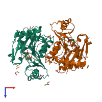 PDB entry 1e4e coloured by chain, top view.
