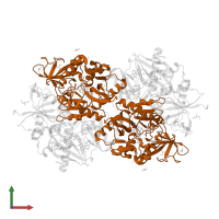 Vancomycin/teicoplanin A-type resistance protein VanA in PDB entry 1e4e, assembly 1, front view.