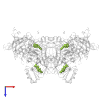 ADENOSINE-5'-DIPHOSPHATE in PDB entry 1e4e, assembly 1, top view.