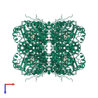 Homo octameric assembly 1 of PDB entry 1eb3 coloured by chemically distinct molecules, top view.