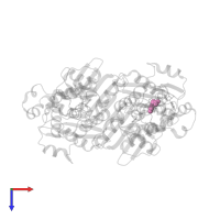 L-HOMOSERINE in PDB entry 1ebu, assembly 2, top view.