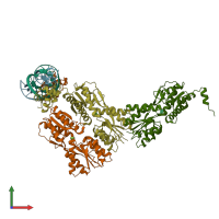 PDB entry 1efa coloured by chain, front view.