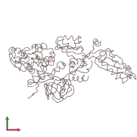 PDB entry 1efg coloured by chain, front view.