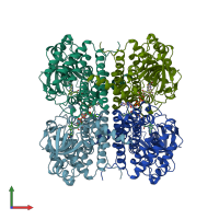 PDB entry 1egd coloured by chain, front view.