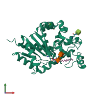 3D model of 1eh5 from PDBe