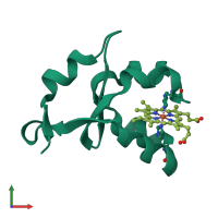 PDB entry 1ehb coloured by chain, front view.
