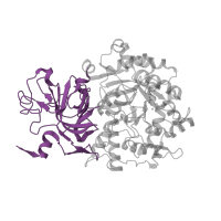 The deposited structure of PDB entry 1ejs contains 1 copy of CATH domain 2.30.40.10 (Urease, subunit C; domain 1) in Urease subunit alpha. Showing 1 copy in chain A [auth C].