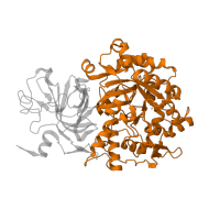 The deposited structure of PDB entry 1ejs contains 1 copy of CATH domain 3.20.20.140 (TIM Barrel) in Urease subunit alpha. Showing 1 copy in chain A [auth C].