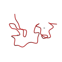 The deposited structure of PDB entry 1esk contains 1 copy of CATH domain 4.10.60.10 (HIV-1 Nucleocapsid Protein) in Nucleocapsid protein p7. Showing 1 copy in chain A.