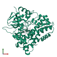 6-deoxyerythronolide B hydroxylase in PDB entry 1eup, assembly 1, front view.