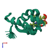 PDB entry 1f04 coloured by chain, ensemble of 35 models, top view.