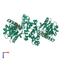 Homo dimeric assembly 1 of PDB entry 1f17 coloured by chemically distinct molecules, top view.