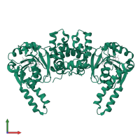 Hydroxyacyl-coenzyme A dehydrogenase, mitochondrial in PDB entry 1f17, assembly 1, front view.