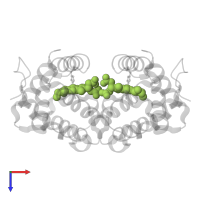PROTOPORPHYRIN IX CONTAINING FE in PDB entry 1f5p, assembly 1, top view.