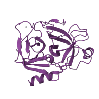 The deposited structure of PDB entry 1f5r contains 1 copy of SCOP domain 50514 (Eukaryotic proteases) in Anionic trypsin-2. Showing 1 copy in chain A.