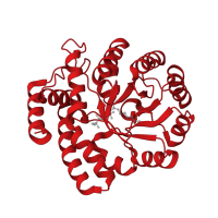 The deposited structure of PDB entry 1f7b contains 2 copies of CATH domain 3.20.20.70 (TIM Barrel) in N-acetylneuraminate lyase. Showing 1 copy in chain A.