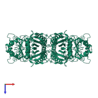 Fructose-1,6-bisphosphatase 1 in PDB entry 1fbd, assembly 1, top view.