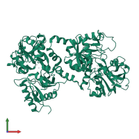Lactotransferrin in PDB entry 1fck, assembly 1, front view.