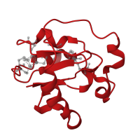 The deposited structure of PDB entry 1fdd contains 1 copy of CATH domain 3.30.70.20 (Alpha-Beta Plaits) in Ferredoxin-1. Showing 1 copy in chain A.