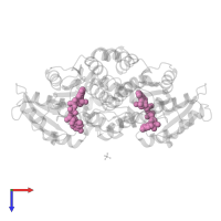 NICOTINAMIDE-ADENINE-DINUCLEOTIDE in PDB entry 1fdv, assembly 1, top view.