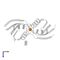 COPPER (I) ION in PDB entry 1fee, assembly 1, top view.