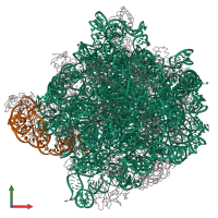 PDB entry 1ffk coloured by chain, front view.