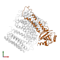 Cytochrome bo(3) ubiquinol oxidase subunit 2 in PDB entry 1fft, assembly 1, front view.
