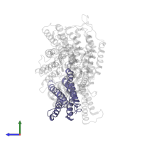 Cytochrome bo(3) ubiquinol oxidase subunit 3 in PDB entry 1fft, assembly 1, side view.