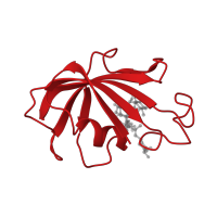 The deposited structure of PDB entry 1fkd contains 1 copy of CATH domain 3.10.50.40 (Chitinase A; domain 3) in Peptidyl-prolyl cis-trans isomerase FKBP1A. Showing 1 copy in chain A.