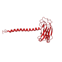 The deposited structure of PDB entry 1flk contains 2 copies of CATH domain 2.60.210.10 (Apoptosis, Tumor Necrosis Factor Receptor Associated Protein 2; Chain A) in TNF receptor-associated factor 3. Showing 1 copy in chain A.