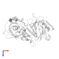 2-acetamido-2-deoxy-alpha-D-glucopyranose in PDB entry 1fmu, assembly 1, top view.