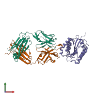 PDB entry 1fns coloured by chain, front view.