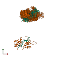 PDB entry 1fnx coloured by chain, ensemble of 21 models, front view.