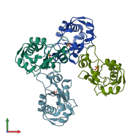 PDB entry 1fsj coloured by chain, front view.