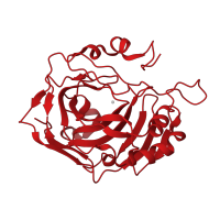 The deposited structure of PDB entry 1fsq contains 2 copies of CATH domain 3.10.200.10 (Carbonic Anhydrase II) in Carbonic anhydrase 2. Showing 1 copy in chain A.