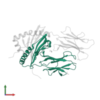 HLA class II histocompatibility antigen, DR alpha chain in PDB entry 1fv1, assembly 2, front view.