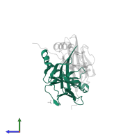 HLA class II histocompatibility antigen, DR alpha chain in PDB entry 1fv1, assembly 2, side view.