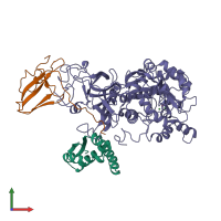 PDB entry 1fwb coloured by chain, front view.