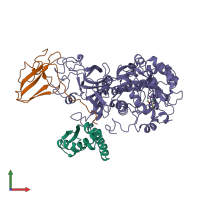 PDB entry 1fwe coloured by chain, front view.