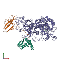 PDB entry 1fwj coloured by chain, front view.