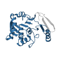 The deposited structure of PDB entry 1fy2 contains 1 copy of Pfam domain PF03575 (Peptidase family S51) in Peptidase E. Showing 1 copy in chain A.