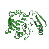 The deposited structure of PDB entry 1fy2 contains 1 copy of SCOP domain 52331 (Aspartyl dipeptidase PepE) in Peptidase E. Showing 1 copy in chain A.