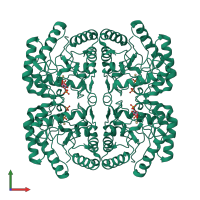 Homo tetrameric assembly 1 of PDB entry 1fy6 coloured by chemically distinct molecules, front view.
