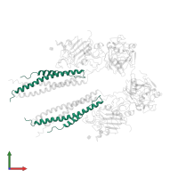 Fibrinogen alpha chain in PDB entry 1fza, assembly 1, front view.