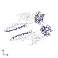 Fibrinogen gamma chain in PDB entry 1fza, assembly 1, front view.